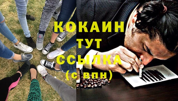прущая мука Кирсанов