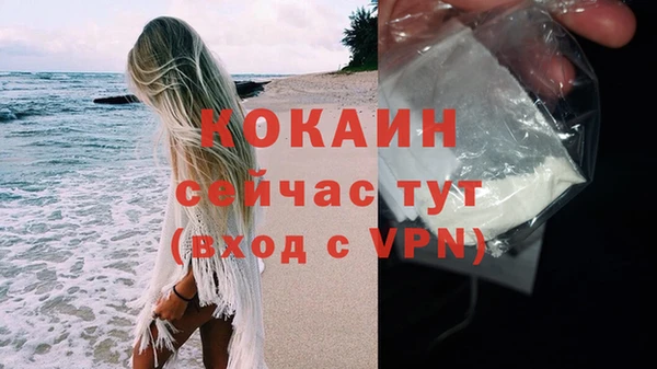 гидра Кондопога