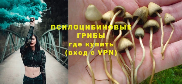 молекула духа Краснотурьинск