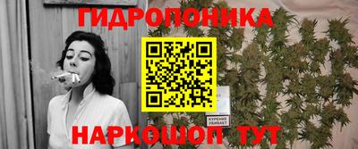 эйфоретик Кинель