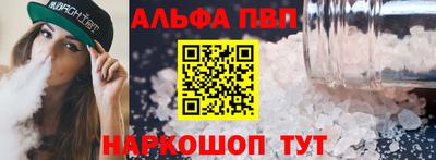 jwh Кингисепп
