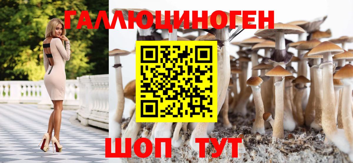 Псилоцибиновые грибы мицелий  Малоярославец  Галлюциногенные грибы Magic Shrooms 