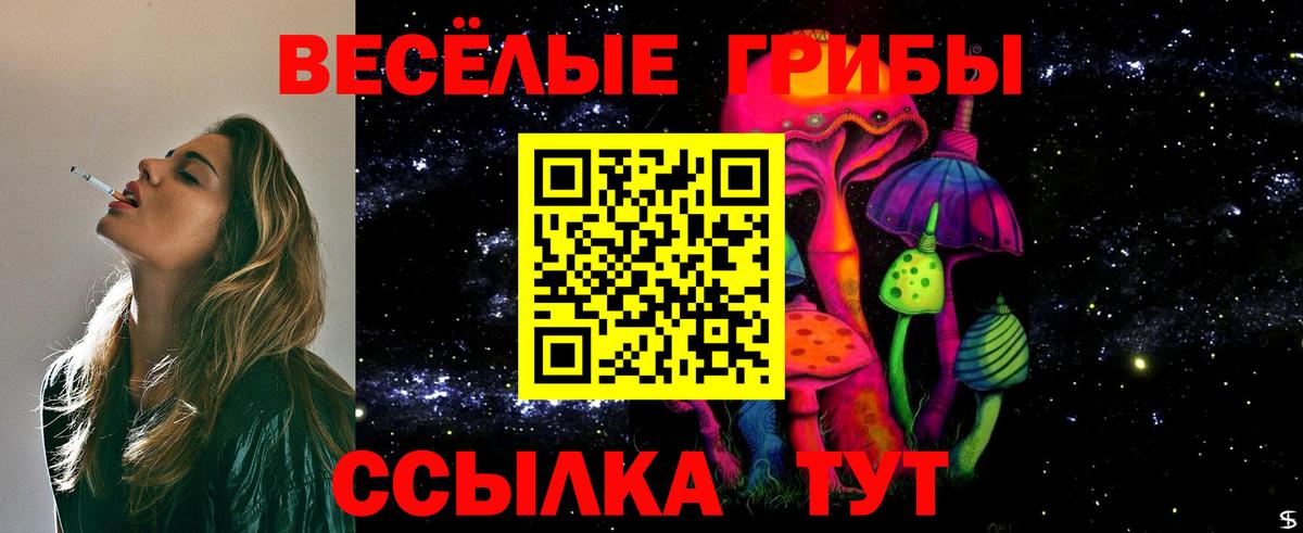 Малоярославец  Галлюциногенные грибы ЛСД  Вход с VPN 