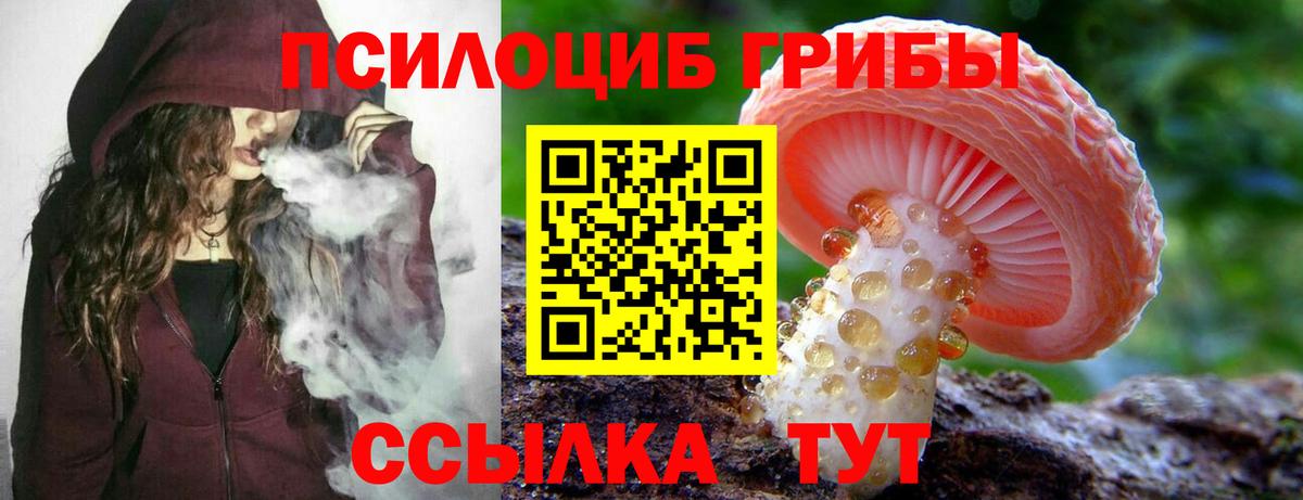 Псилоцибиновые грибы мицелий Малоярославец