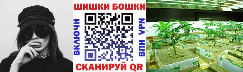 площадка какой сайт  Малоярославец  Каннабис индика 