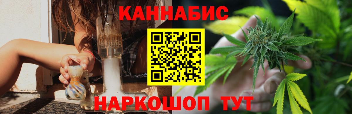 Конопля сатива Малоярославец